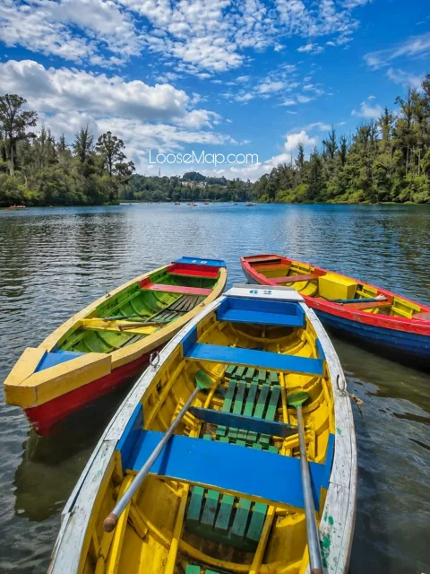 "Beyond the Clouds: Discover the Beauty of Ooty" photo 3