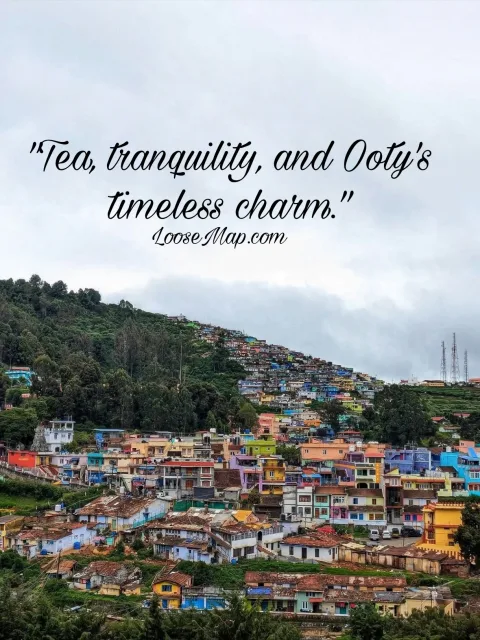 "Beyond the Clouds: Discover the Beauty of Ooty" photo 5