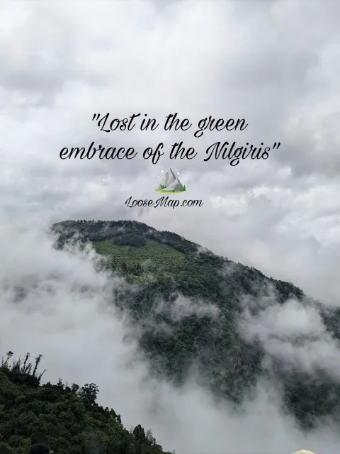 "Beyond the Clouds: Discover the Beauty of Ooty" photo 6